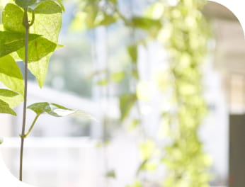 コンセプトイメージ